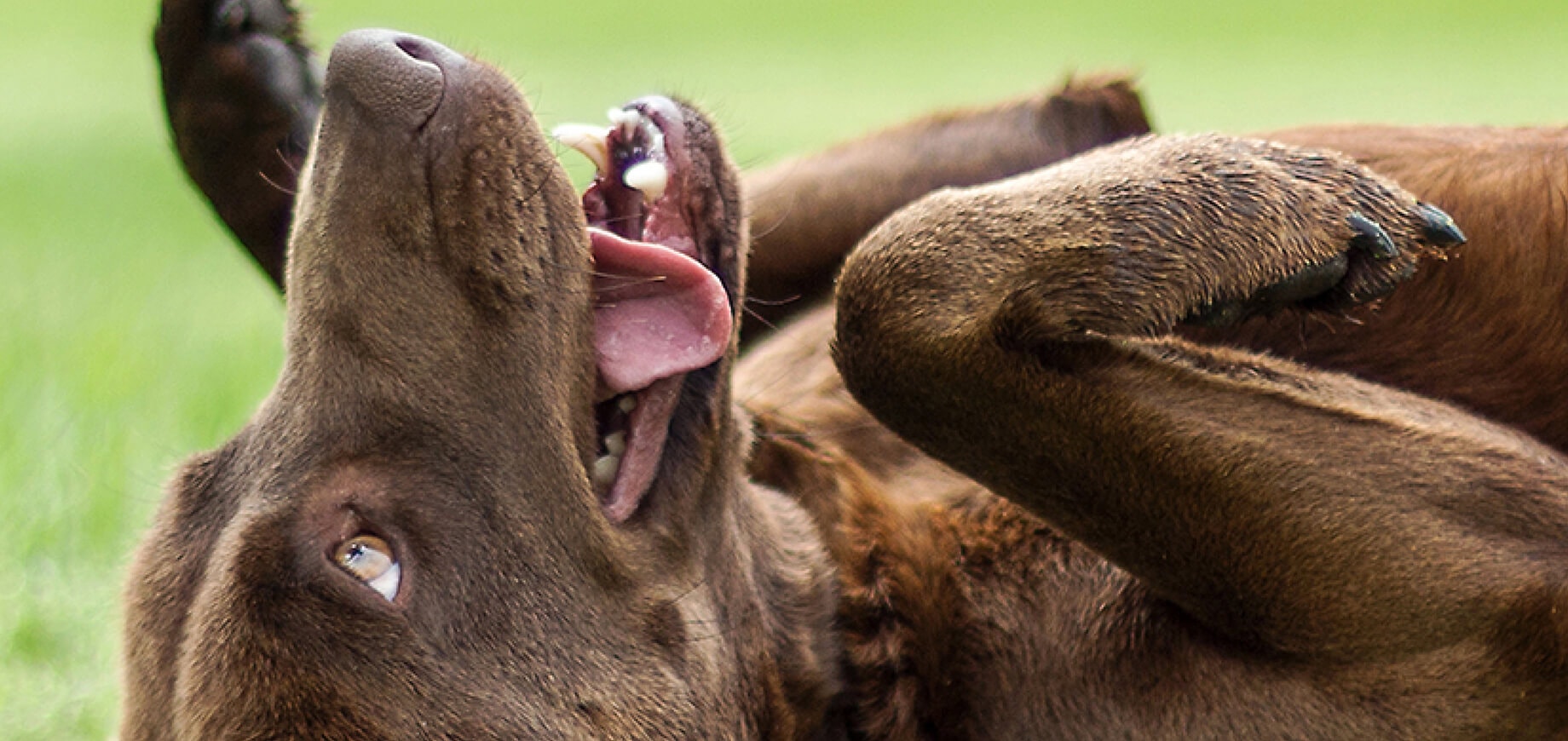 Toenail trimming 101