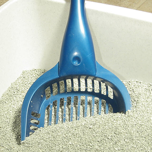 Combating doggie odour