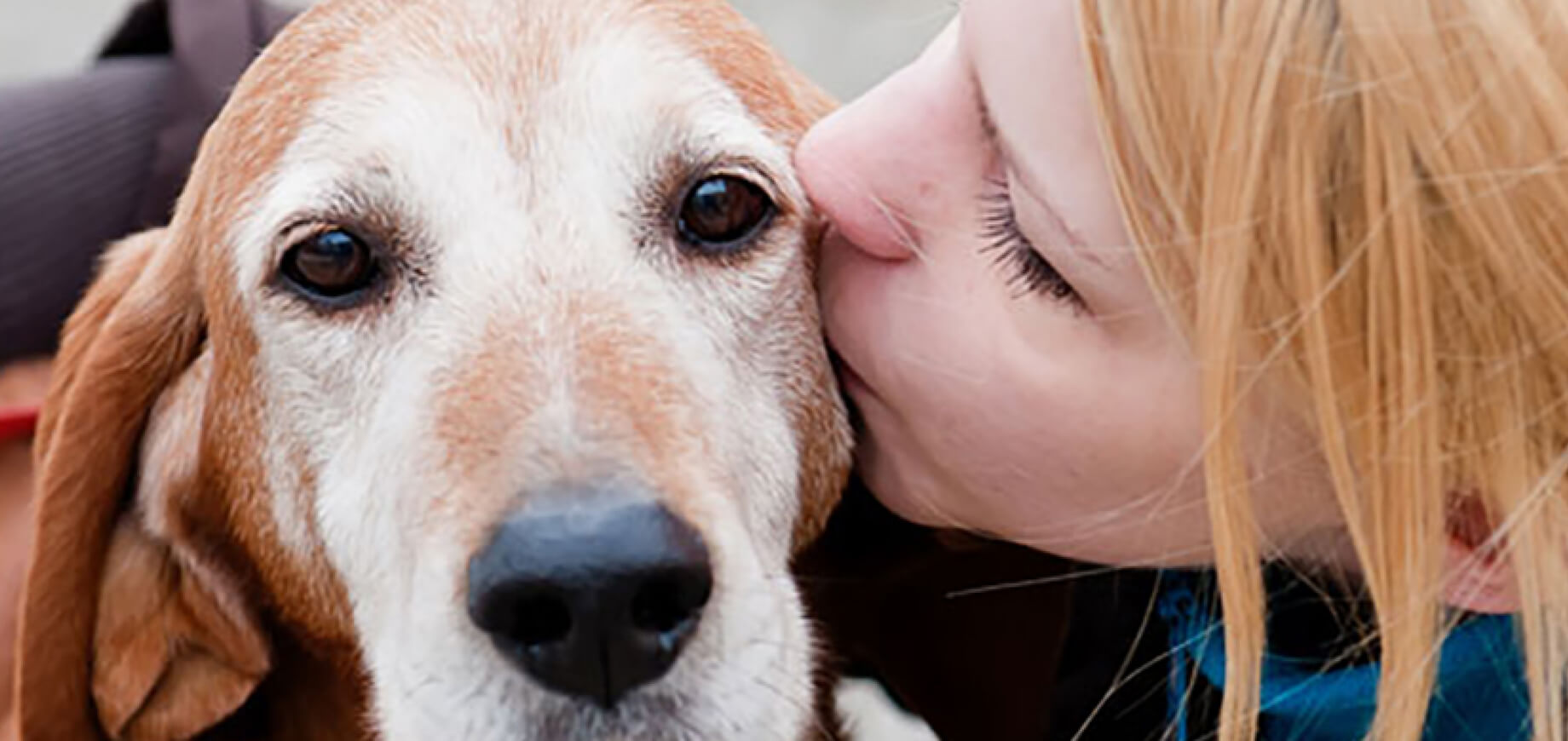 Ask A Vet: How do I ensure my puppy bonds with me?