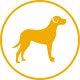 Dog Large Icon