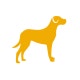 Dog Large Icon